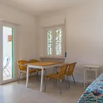 Panorama Apartment